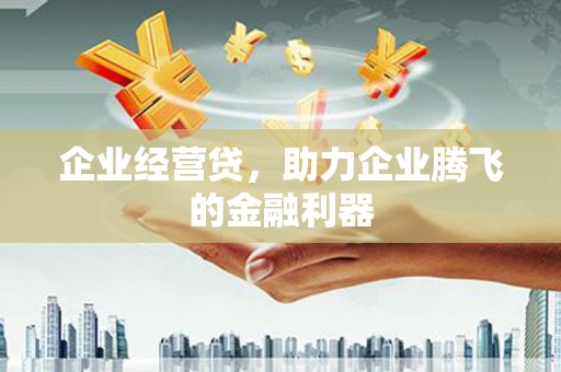 漳县企业经营贷，助力企业腾飞的金融利器
