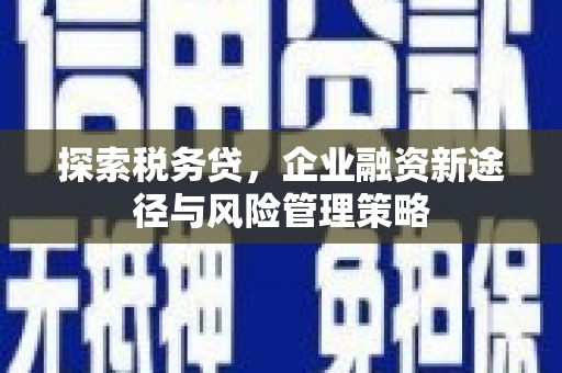 漳县探索税务贷，企业融资新途径与风险管理策略