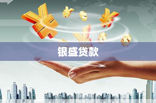 漳县银盛贷款