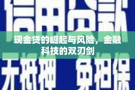 漳县现金贷的崛起与风险，金融科技的双刃剑