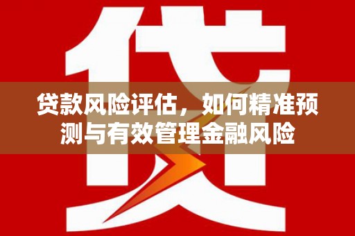 漳县贷款风险评估，如何精准预测与有效管理金融风险