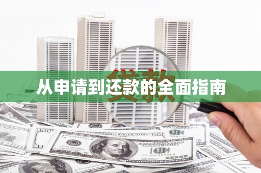 漳县从申请到还款的全面指南