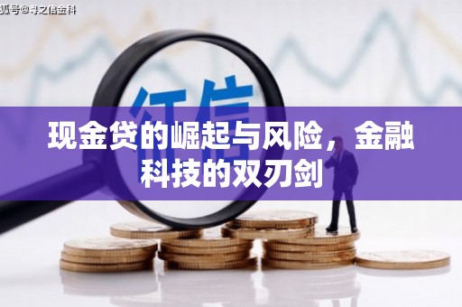 漳县现金贷的崛起与风险，金融科技的双刃剑
