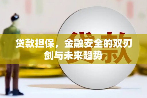 漳县贷款担保，金融安全的双刃剑与未来趋势