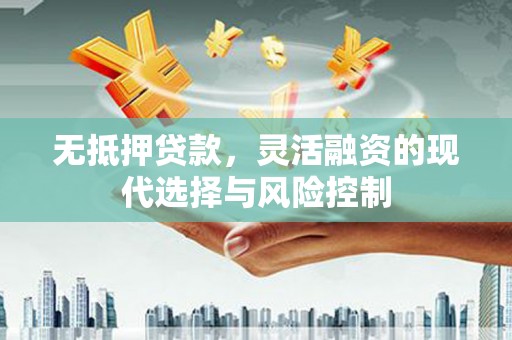 漳县无抵押贷款，灵活融资的现代选择与风险控制