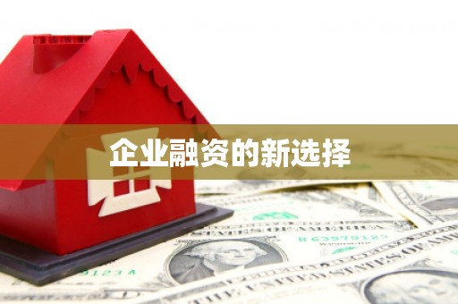 漳县企业融资的新选择
