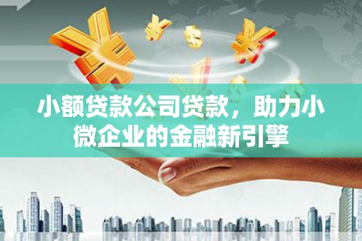漳县小额贷款公司贷款，助力小微企业的金融新引擎