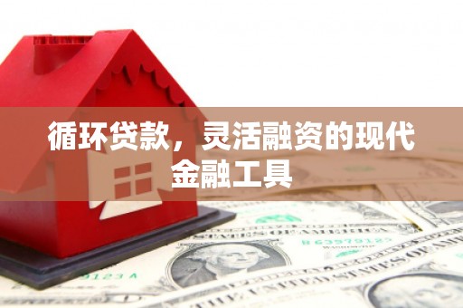 漳县循环贷款，灵活融资的现代金融工具