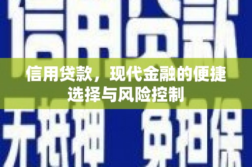 漳县信用贷款，现代金融的便捷选择与风险控制