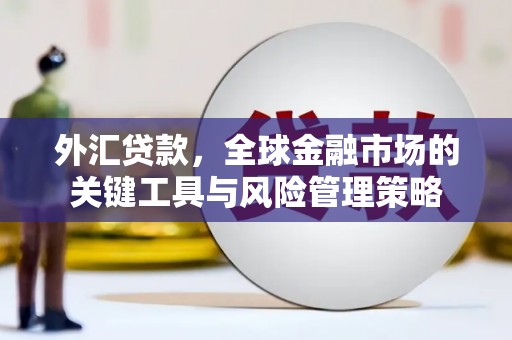 漳县外汇贷款，全球金融市场的关键工具与风险管理策略