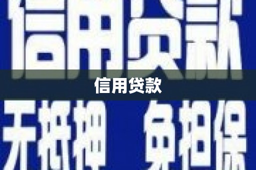 漳县信用贷款