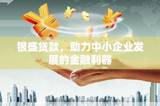 漳县银盛贷款，助力中小企业发展的金融利器
