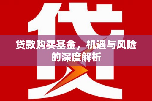漳县贷款购买基金，机遇与风险的深度解析