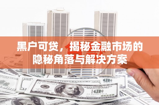 漳县黑户可贷，揭秘金融市场的隐秘角落与解决方案