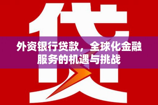 漳县外资银行贷款，全球化金融服务的机遇与挑战