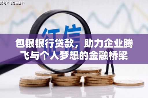 漳县包银银行贷款，助力企业腾飞与个人梦想的金融桥梁