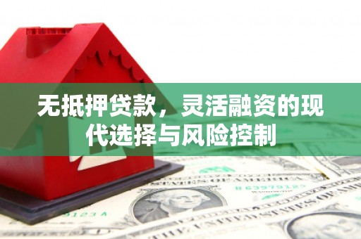 漳县无抵押贷款，灵活融资的现代选择与风险控制