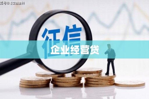 漳县企业经营贷