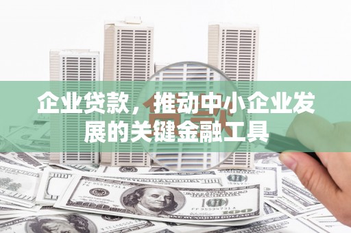 漳县企业贷款，推动中小企业发展的关键金融工具