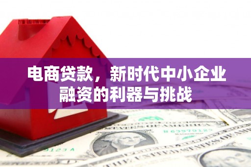 漳县电商贷款，新时代中小企业融资的利器与挑战