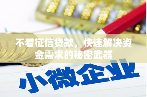 漳县不看征信贷款，快速解决资金需求的秘密武器