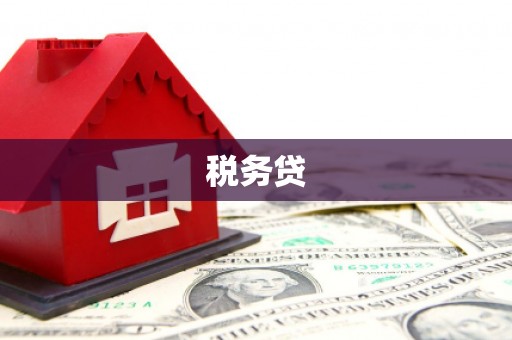 漳县税务贷