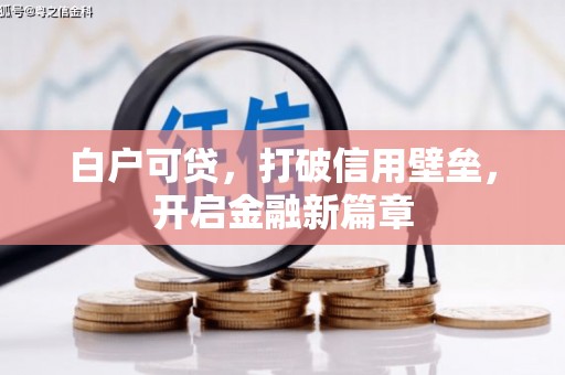 漳县白户可贷，打破信用壁垒，开启金融新篇章