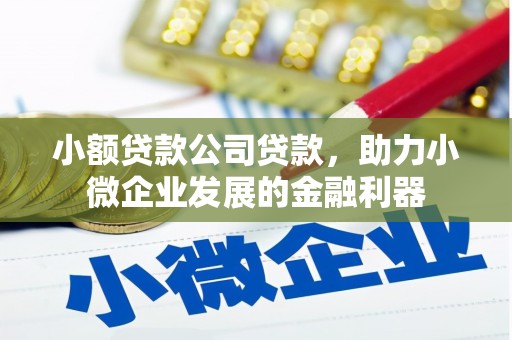 漳县小额贷款公司贷款，助力小微企业发展的金融利器