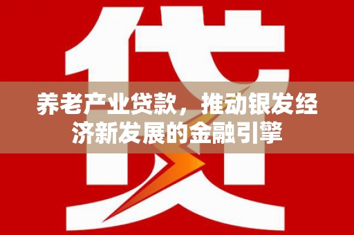 漳县养老产业贷款，推动银发经济新发展的金融引擎