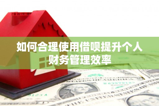 漳县如何合理使用借呗提升个人财务管理效率