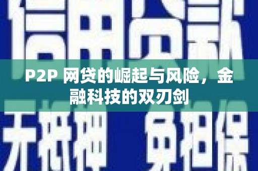 漳县P2P 网贷的崛起与风险，金融科技的双刃剑