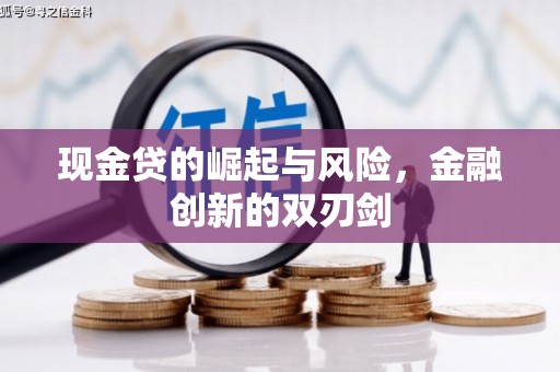 漳县现金贷的崛起与风险，金融创新的双刃剑