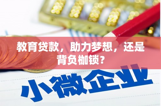 漳县教育贷款，助力梦想，还是背负枷锁？