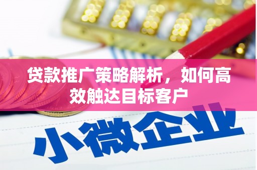 漳县贷款推广策略解析，如何高效触达目标客户
