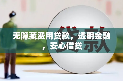漳县无隐藏费用贷款，透明金融，安心借贷