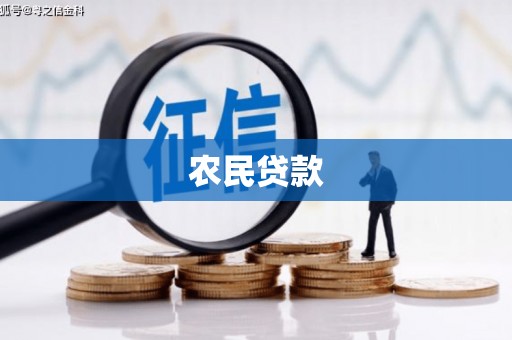 漳县农民贷款