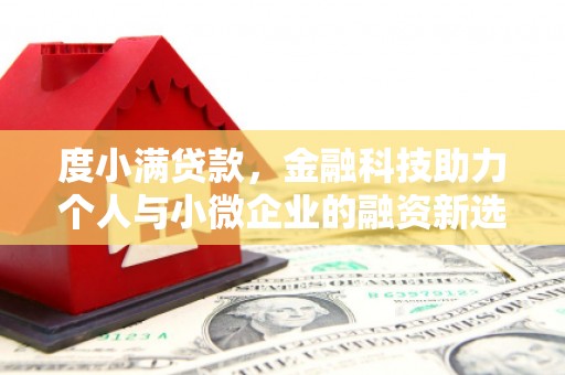 漳县度小满贷款，金融科技助力个人与小微企业的融资新选择