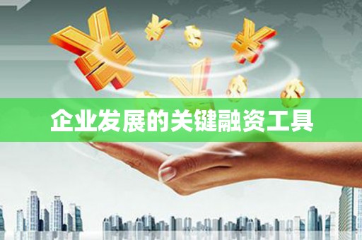 漳县企业发展的关键融资工具