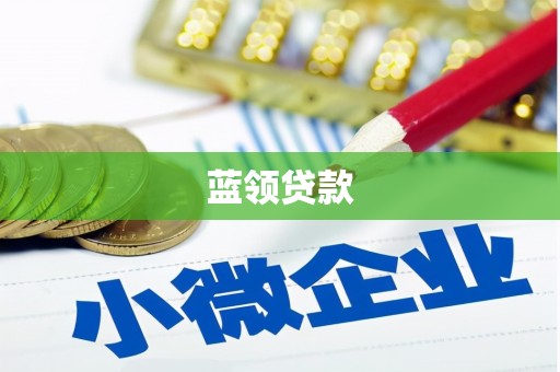 漳县蓝领贷款