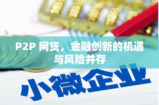 漳县P2P 网贷，金融创新的机遇与风险并存