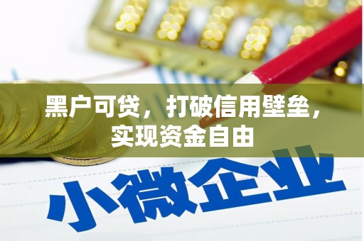 漳县黑户可贷，打破信用壁垒，实现资金自由
