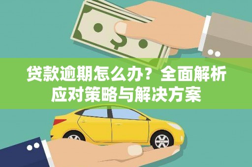 漳县贷款逾期怎么办？全面解析应对策略与解决方案