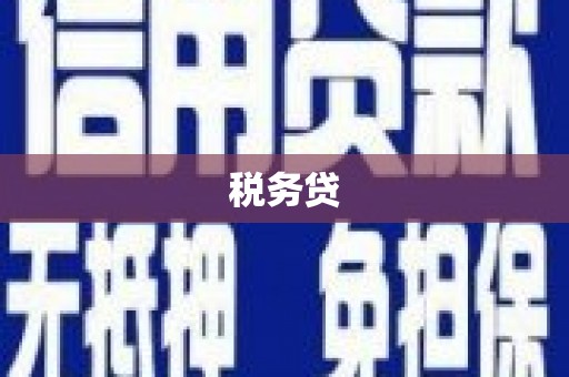 漳县税务贷