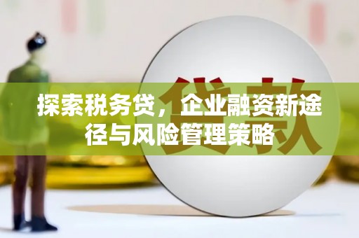 漳县探索税务贷，企业融资新途径与风险管理策略