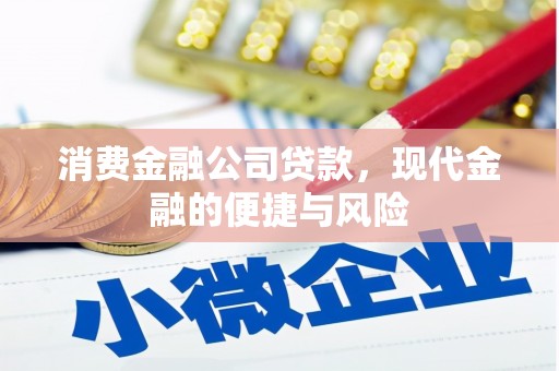 漳县消费金融公司贷款，现代金融的便捷与风险