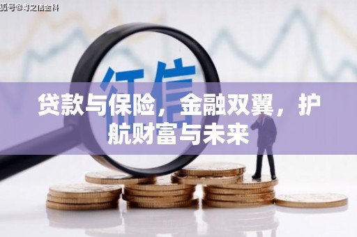 漳县贷款与保险，金融双翼，护航财富与未来
