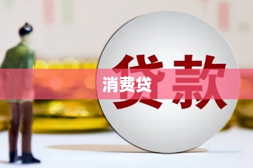漳县消费贷
