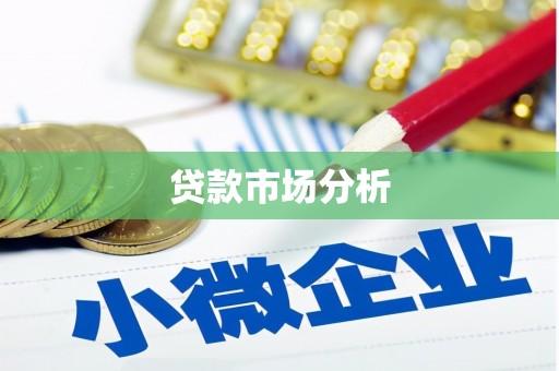 漳县贷款市场分析