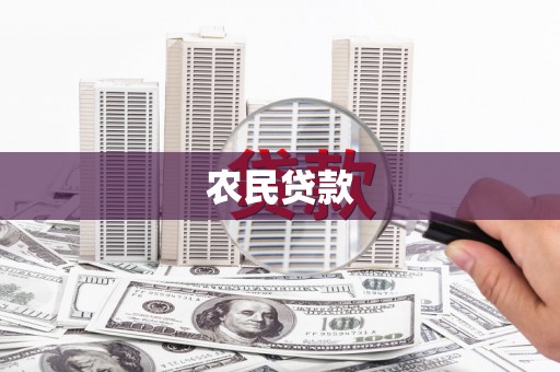 漳县农民贷款