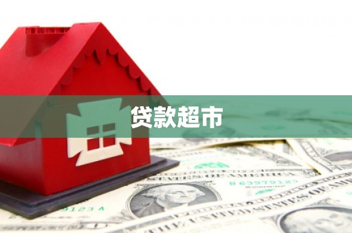 漳县贷款超市